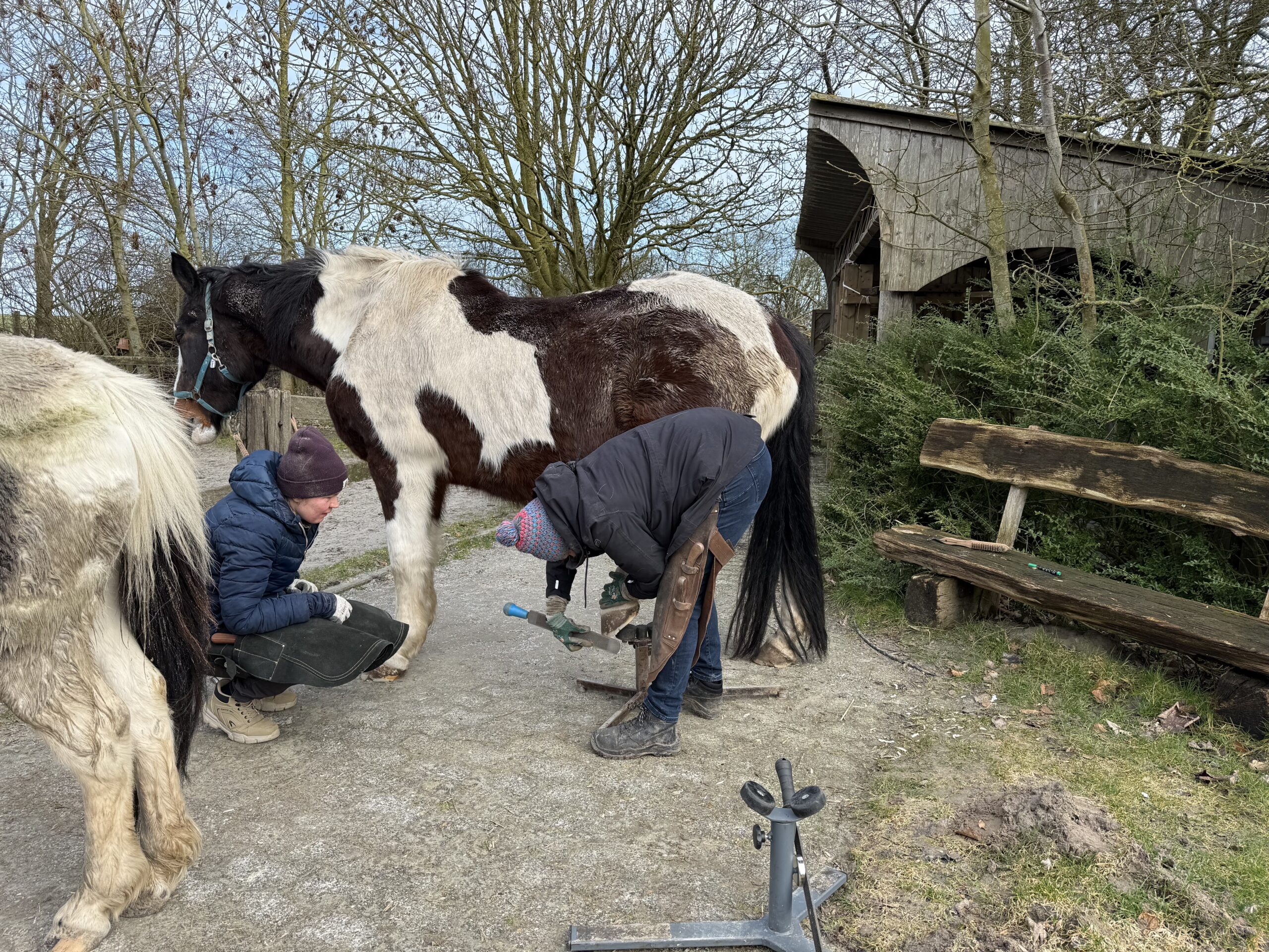 Hufbearbeitung durch Ausbilder eine Person schaut zu